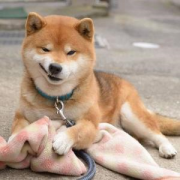 相信你也害怕遇到這幾種人吧？