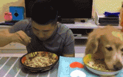 如果你家也有只吃貨狗狗，這點(diǎn)一定要注意！