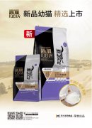 爵加新品幼貓精選上市！