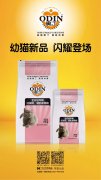 奧丁精品幼貓糧閃耀登場！??！