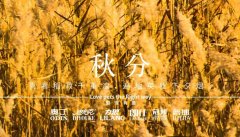 秋分丨晝夜分畫，漸入秋華