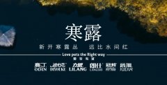 寒露丨露寒萬物，寵暖人心