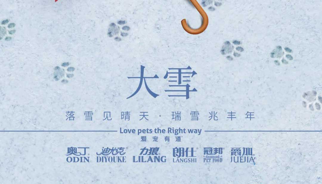 大雪丨雪落知寒意 久伴見初心！