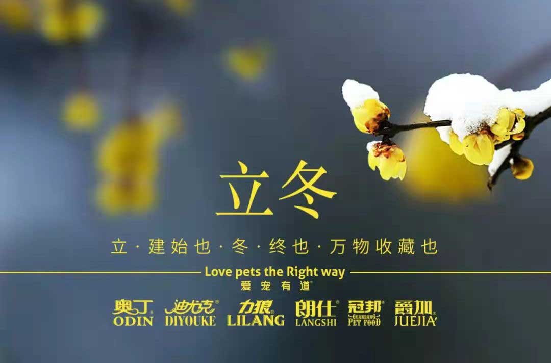 立冬丨冬寒初始，情暖愈濃