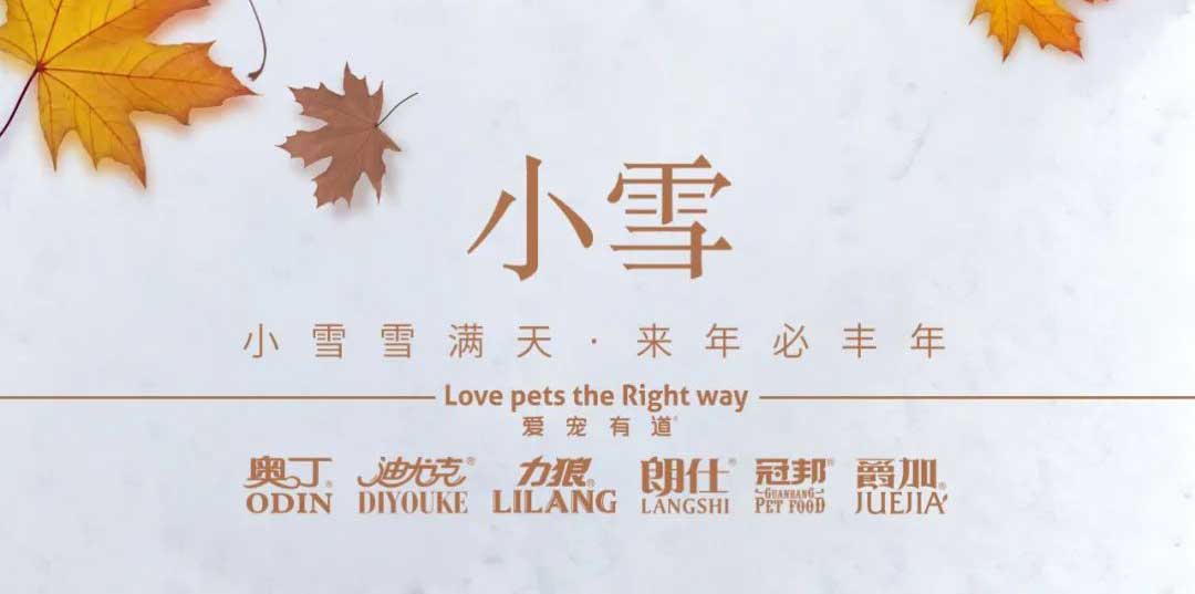 小雪丨天地初寒，歲月安暖
